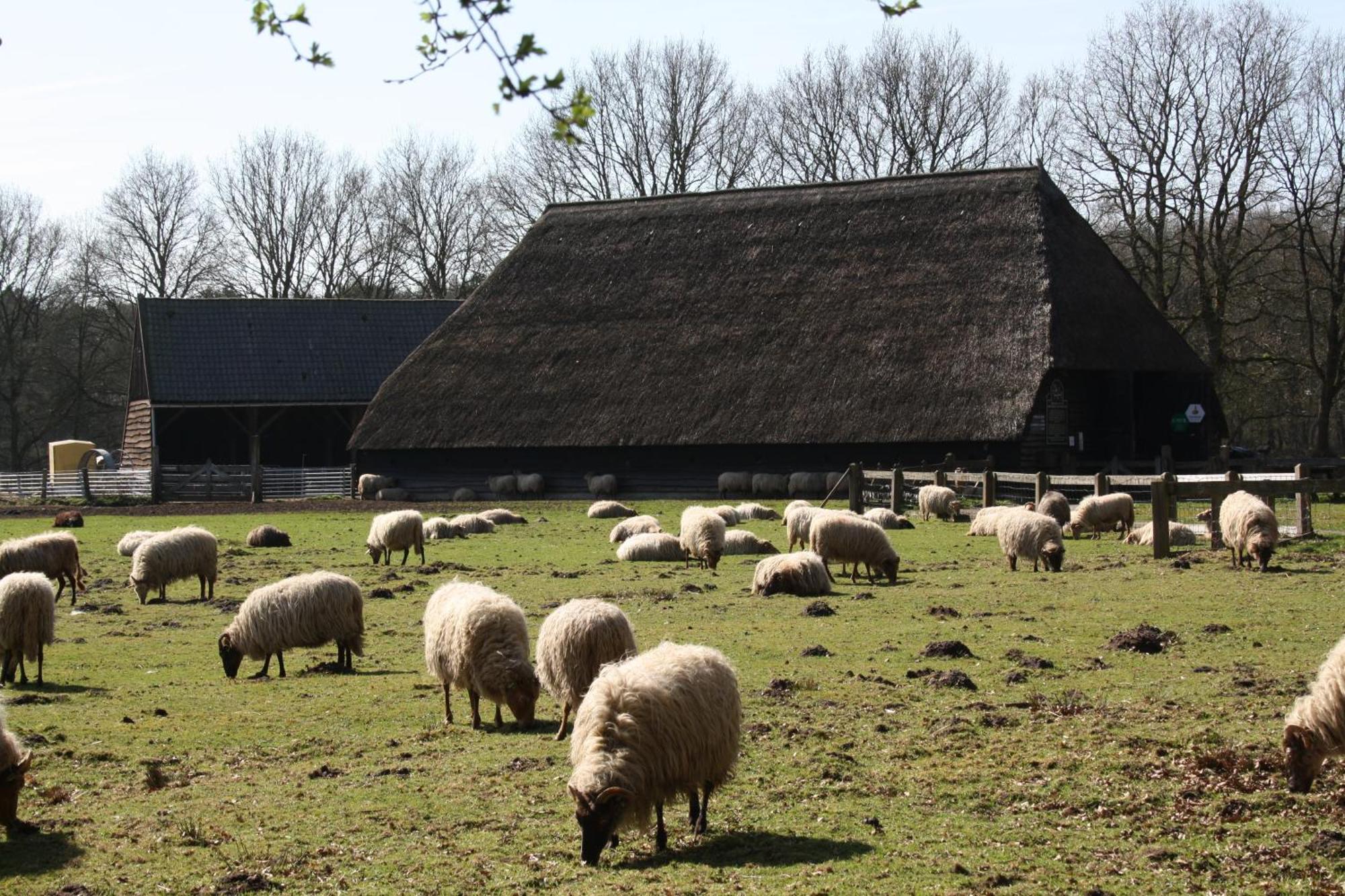 Herberg De Roskam Uffelte Exterior foto